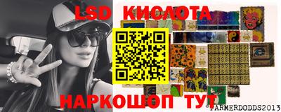 spice Славгород